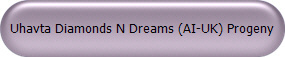 Uhavta Diamonds N Dreams (AI-UK) Progeny